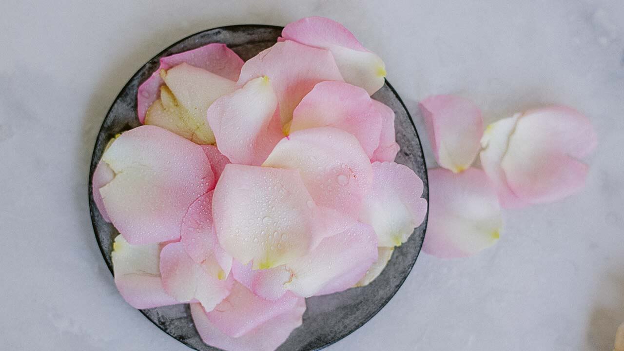 Schale mit Rosenblüten